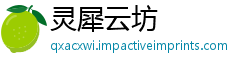 灵犀云坊